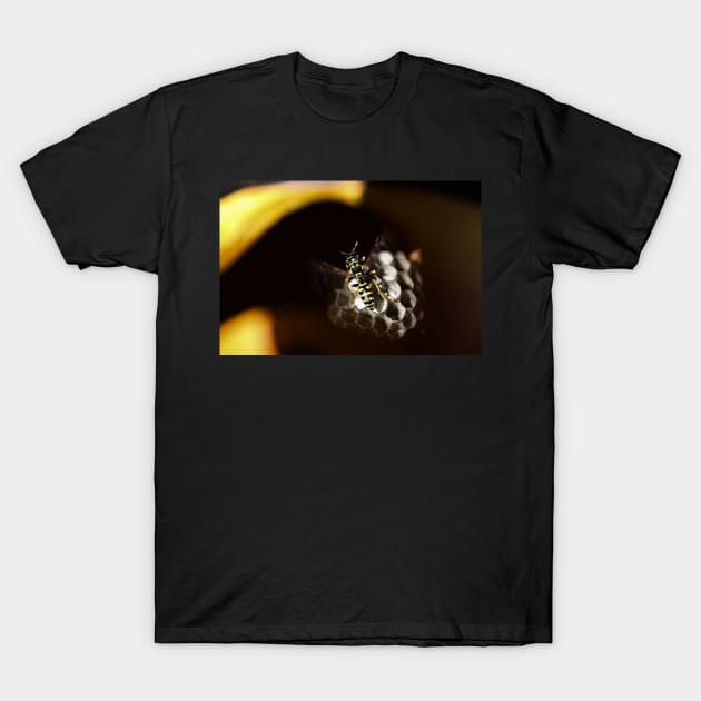 hornet wasp, Flying wasp T-Shirt by hottehue